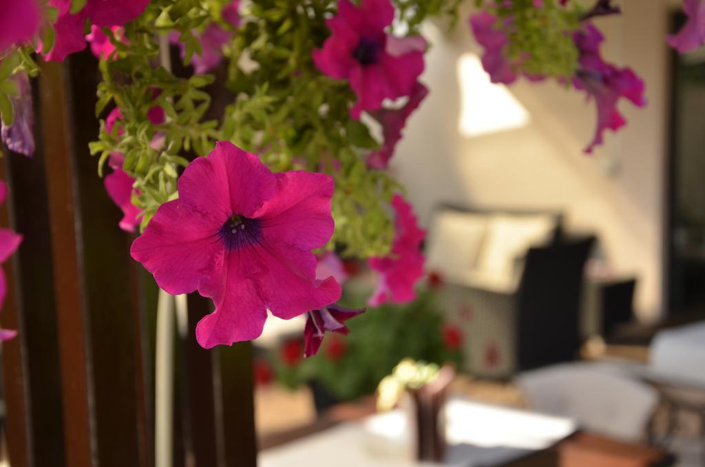 Hotel Topcider Belgrade Luaran gambar